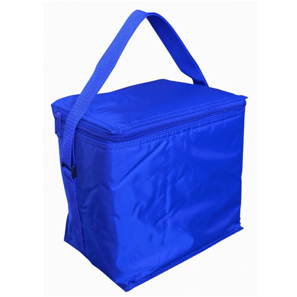 Small Cooler Bag