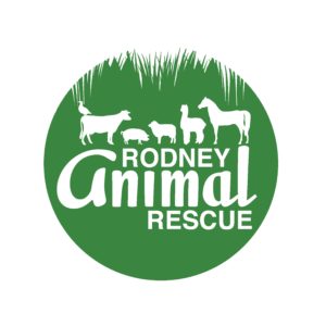 Rodney Animal Rescue